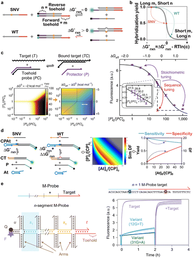 image file: d5cs01006c-f5.tif