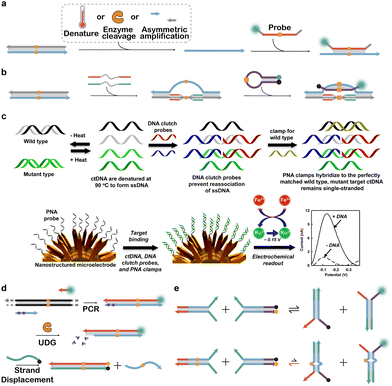 image file: d5cs01006c-f8.tif
