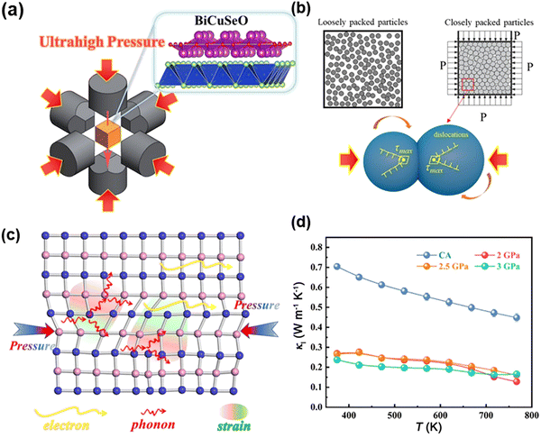image file: d5cs01078k-f13.tif