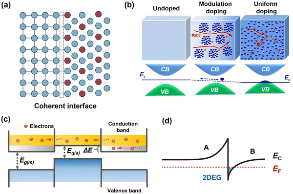 image file: d5cs01078k-f16.tif