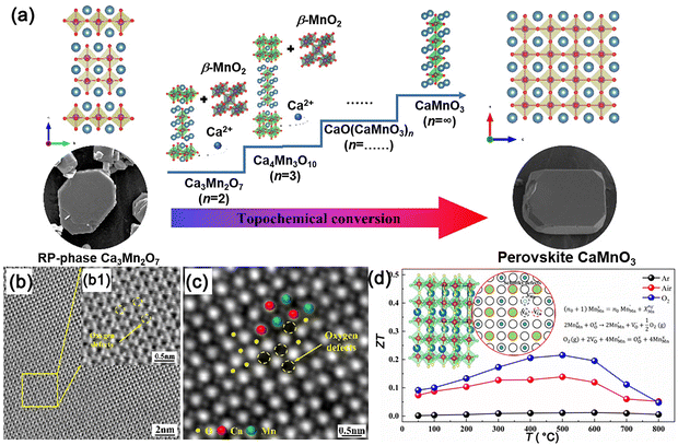 image file: d5cs01078k-f7.tif