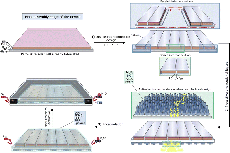 image file: d5cs01085c-f5.tif