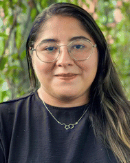 image file: d5cs01085c-p2.tif