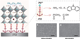 image file: d5cs01085c-u11.tif