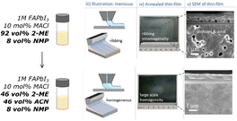 image file: d5cs01085c-u2.tif