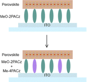 image file: d5cs01085c-u3.tif