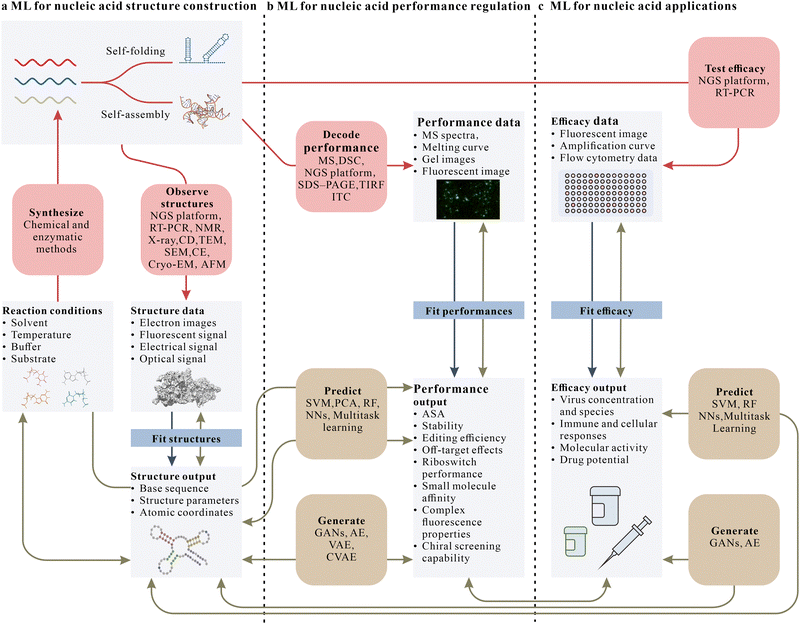 image file: d5cs01091h-f2.tif