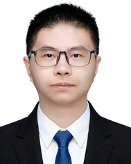 image file: d5cs01091h-p1.tif