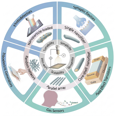 image file: d5cs01179e-f1.tif