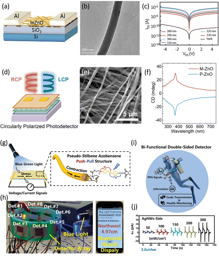 image file: d5cs01179e-f10.tif