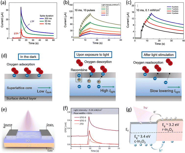 image file: d5cs01179e-f14.tif