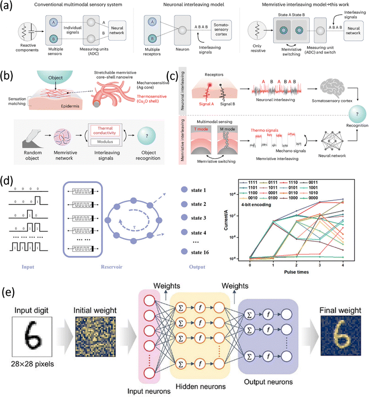 image file: d5cs01179e-f16.tif