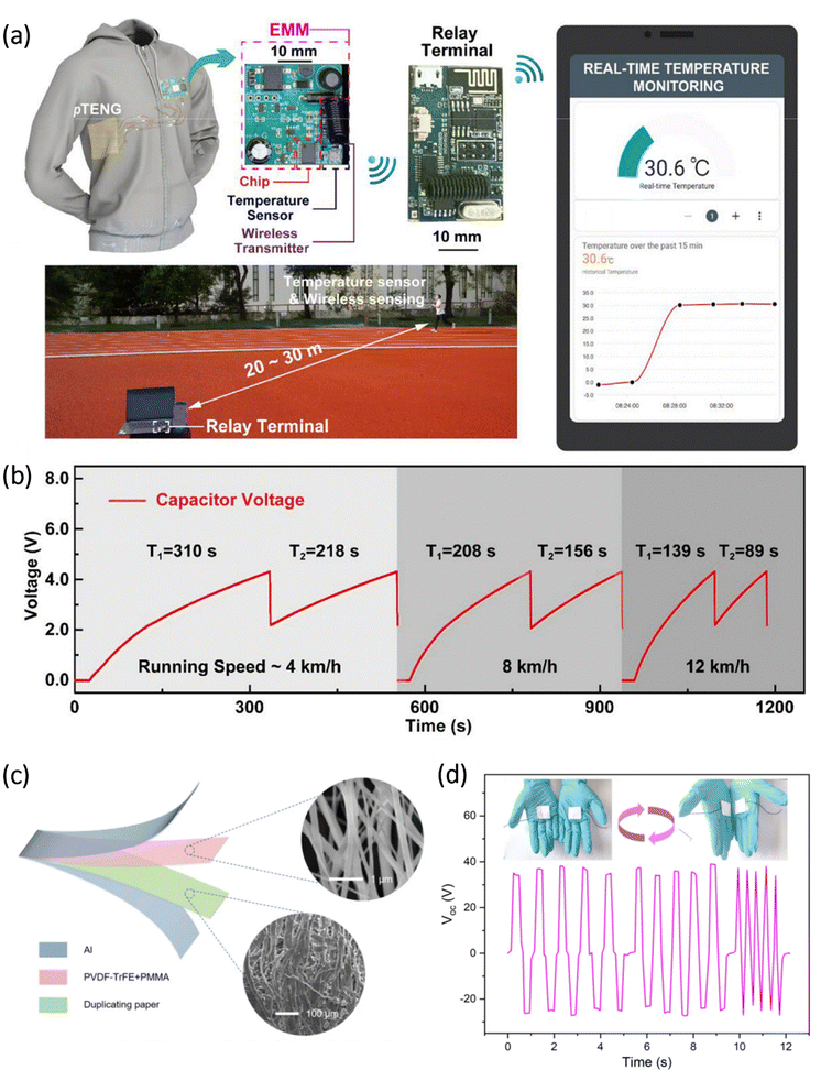 image file: d5cs01179e-f22.tif