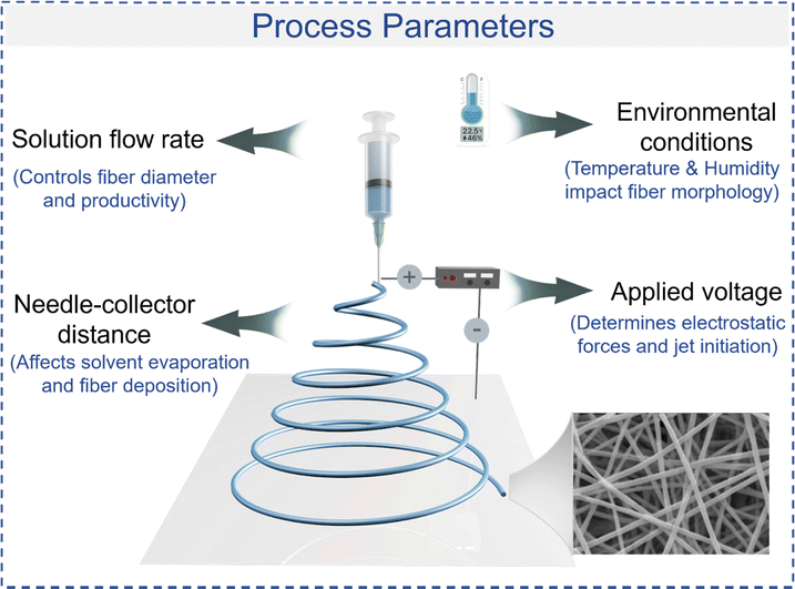 image file: d5cs01179e-f5.tif