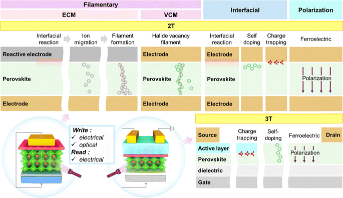 image file: d5cs01222h-f10.tif