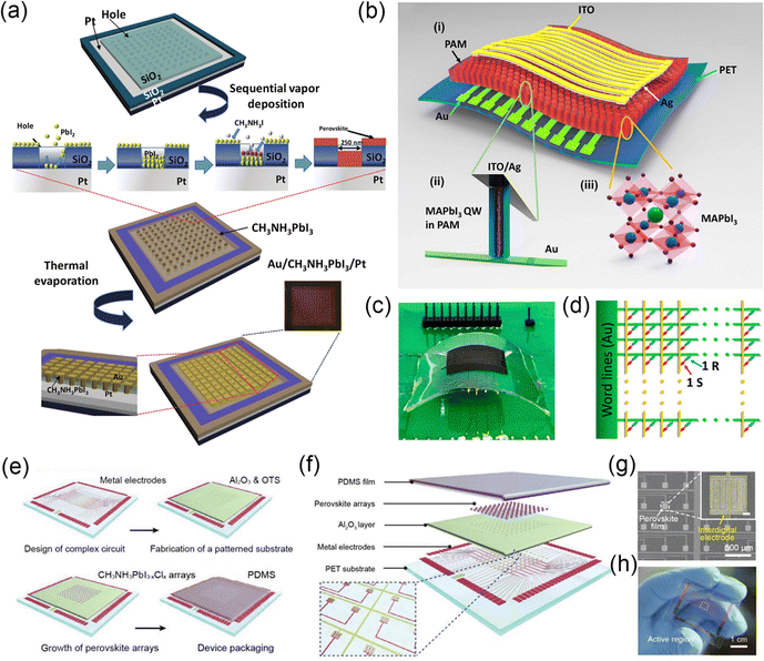 image file: d5cs01222h-f25.tif