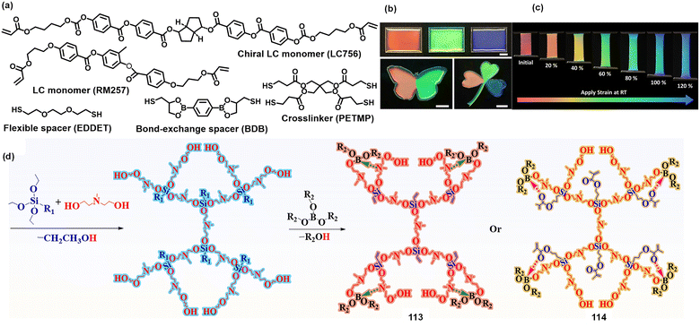 image file: d5cs01242b-f19.tif