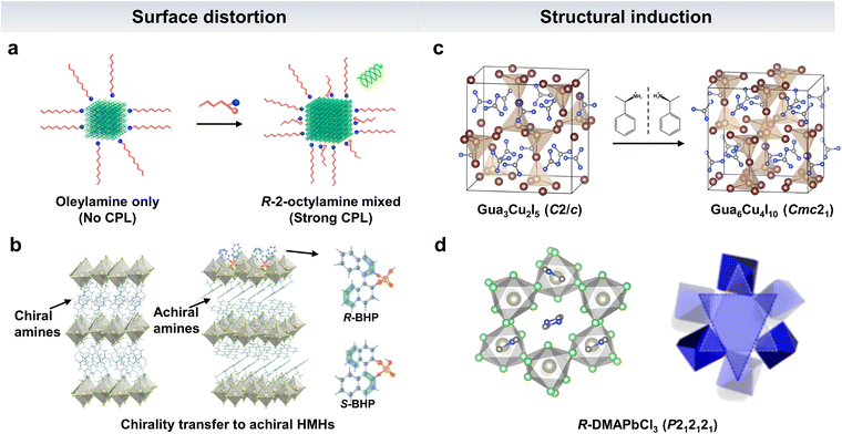 Internally and externally induced chiral hybrid metal halide