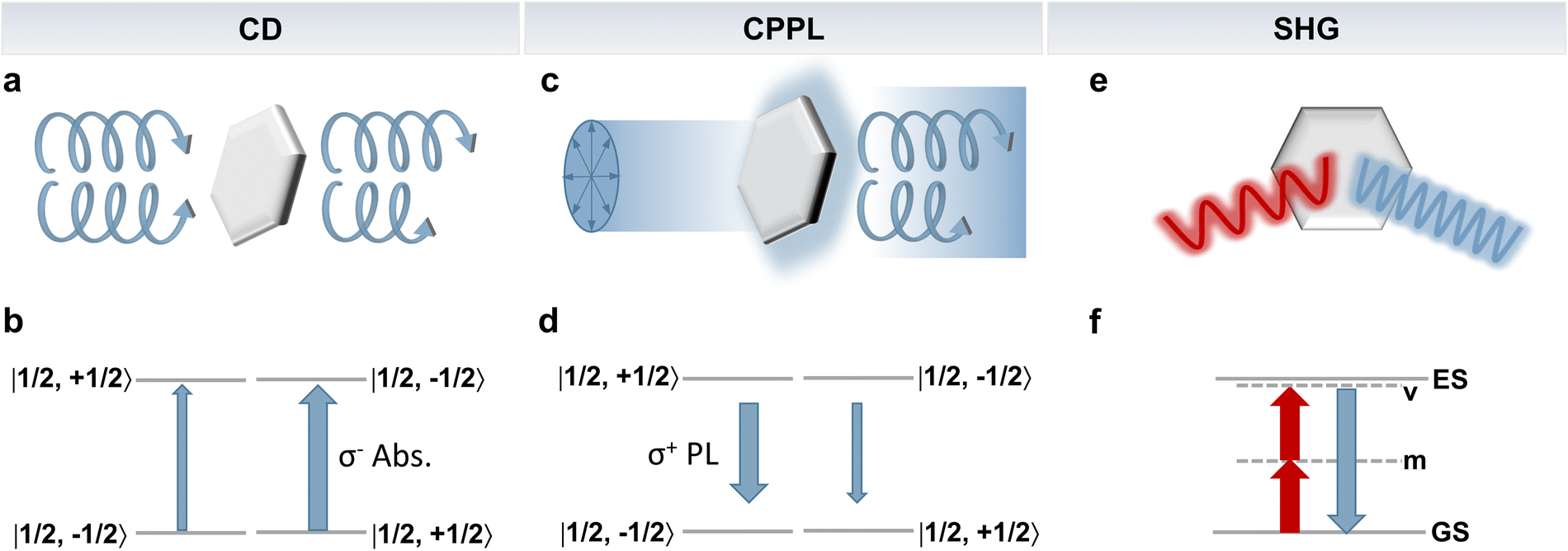 Internally and externally induced chiral hybrid metal halide