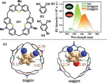 image file: d5cs01268f-f3.tif