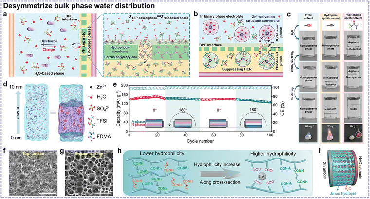 image file: d5cs01269d-f11.tif
