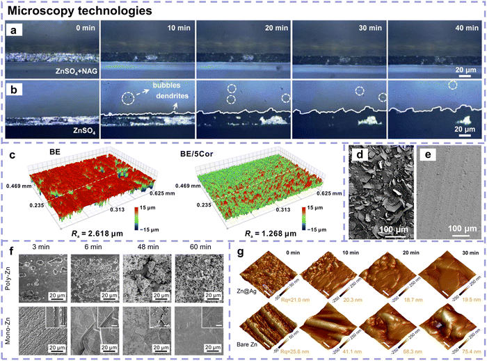 image file: d5cs01269d-f20.tif