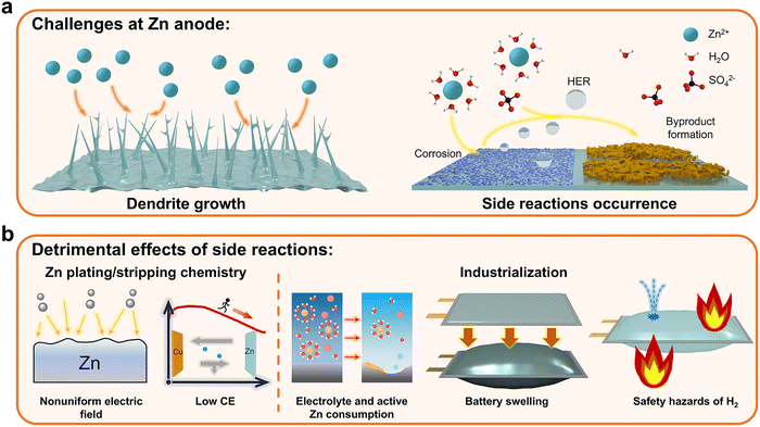 image file: d5cs01269d-f3.tif