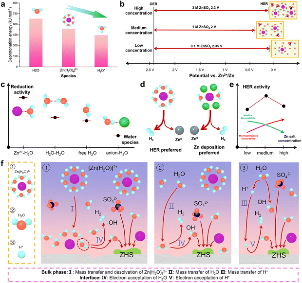 image file: d5cs01269d-f6.tif