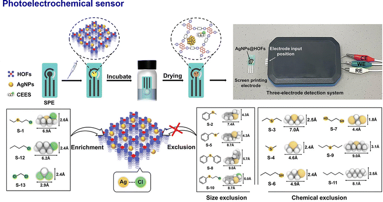 image file: d5cs01279a-f16.tif