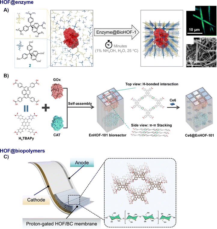 image file: d5cs01279a-f5.tif