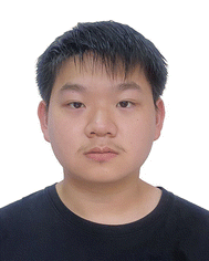 image file: d5cs01300c-p4.tif