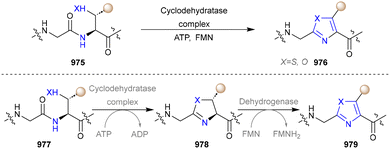 image file: d5cs01300c-s103.tif