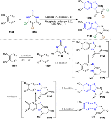 image file: d5cs01300c-s125.tif