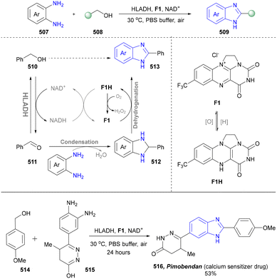image file: d5cs01300c-s54.tif