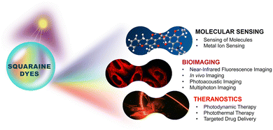 image file: d5cs01375e-f1.tif