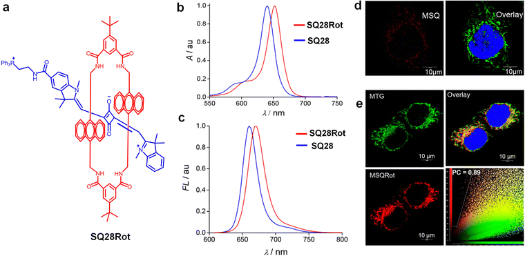 image file: d5cs01375e-f13.tif