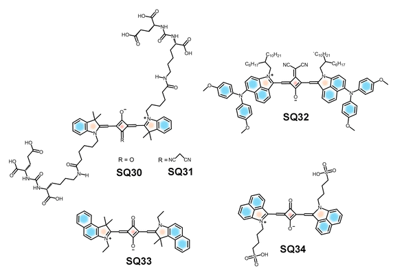 image file: d5cs01375e-f15.tif