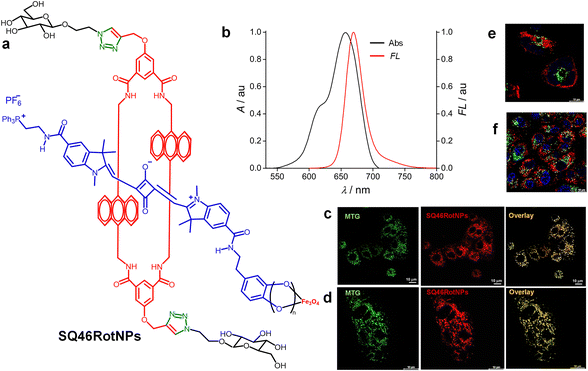 image file: d5cs01375e-f20.tif