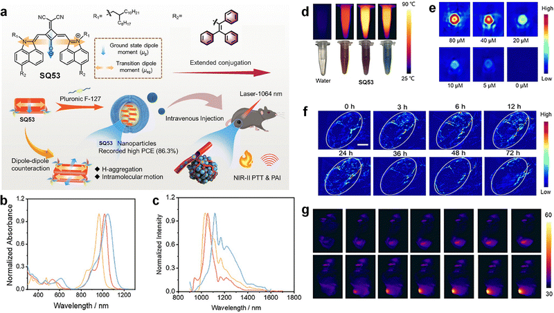 image file: d5cs01375e-f23.tif