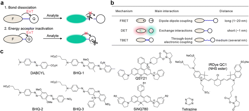 image file: d5cs01519g-f1.tif