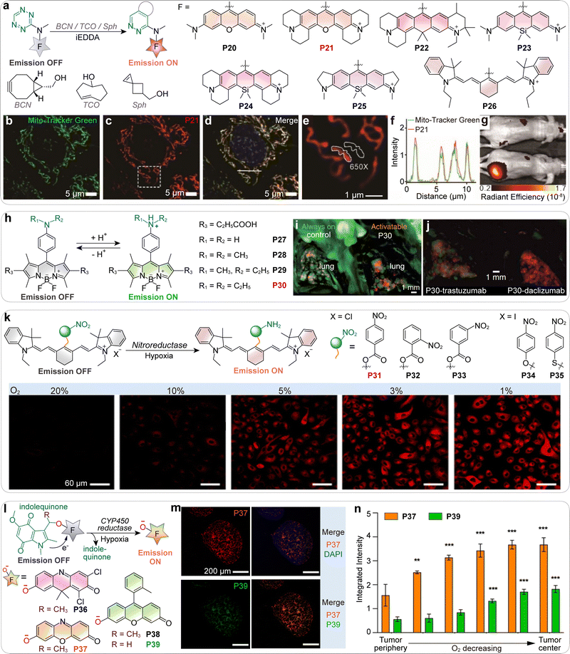 image file: d5cs01519g-f10.tif