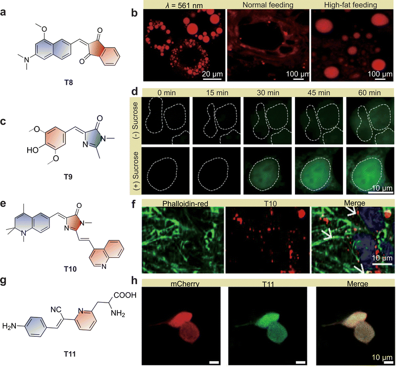 image file: d5cs01519g-f13.tif