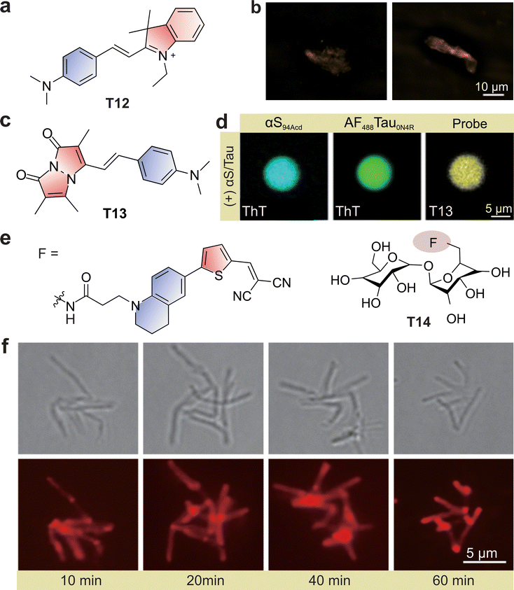 image file: d5cs01519g-f14.tif