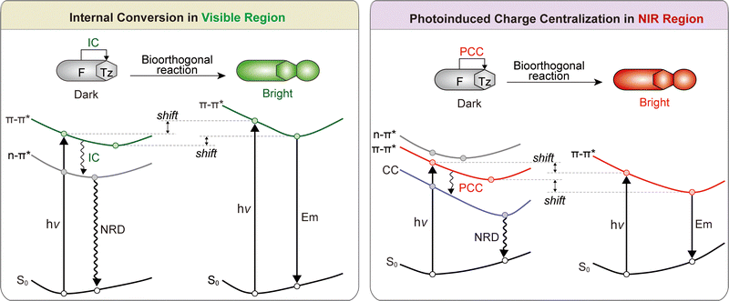 image file: d5cs01519g-f16.tif
