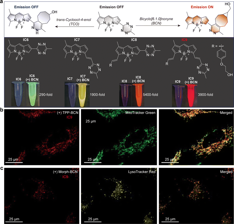image file: d5cs01519g-f17.tif