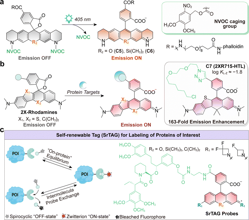 image file: d5cs01519g-f19.tif