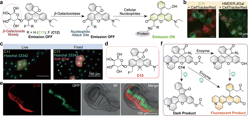 image file: d5cs01519g-f21.tif