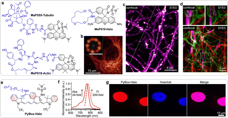 image file: d5cs01519g-f23.tif