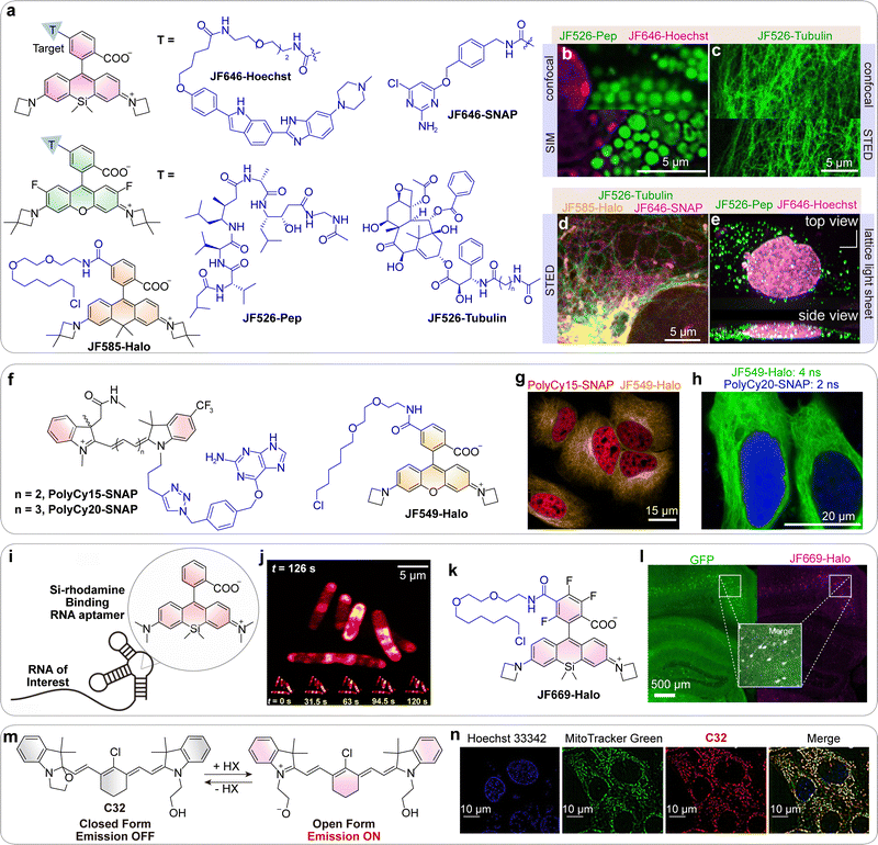 image file: d5cs01519g-f24.tif