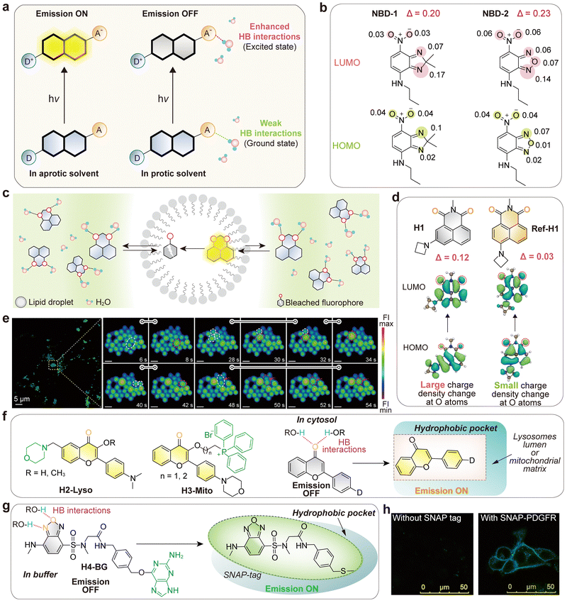 image file: d5cs01519g-f27.tif